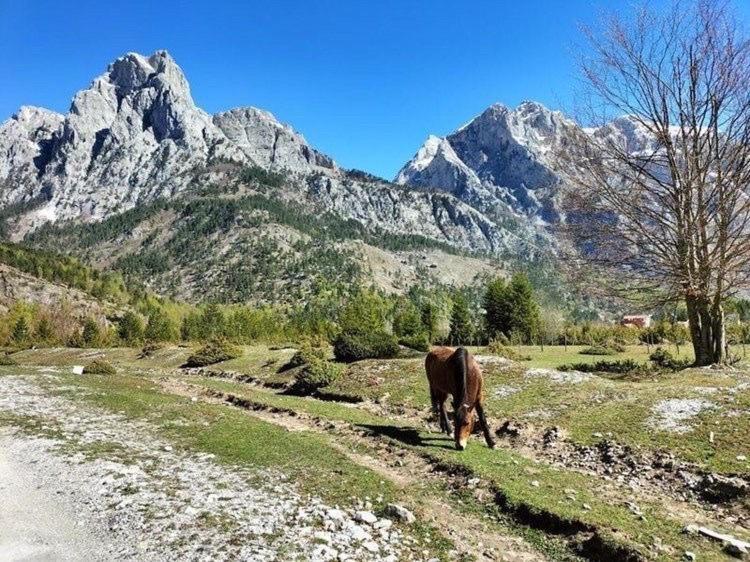 Bujtina Arlindi Nocleg ze śniadaniem Valbone