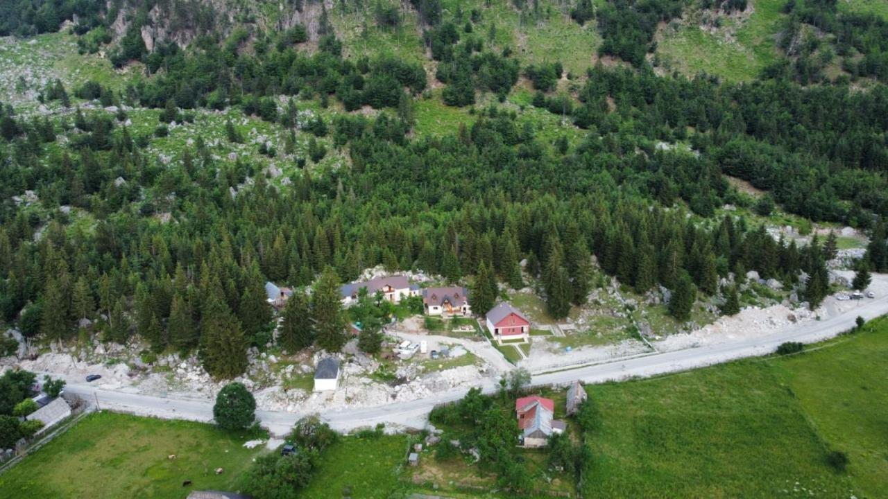 Bujtina Arlindi *