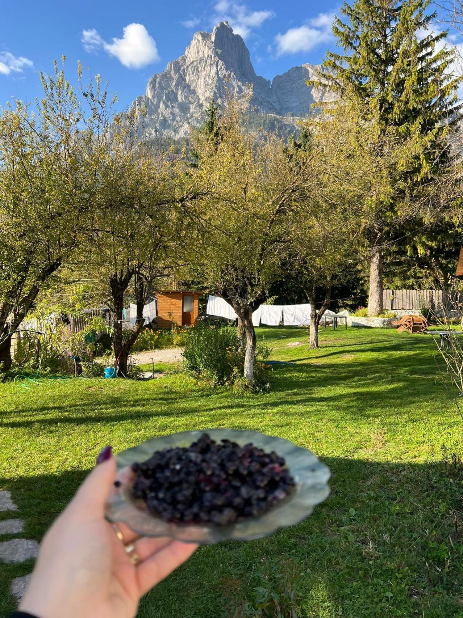 Bujtina Arlindi Valbone